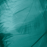 Page Speed Optimization