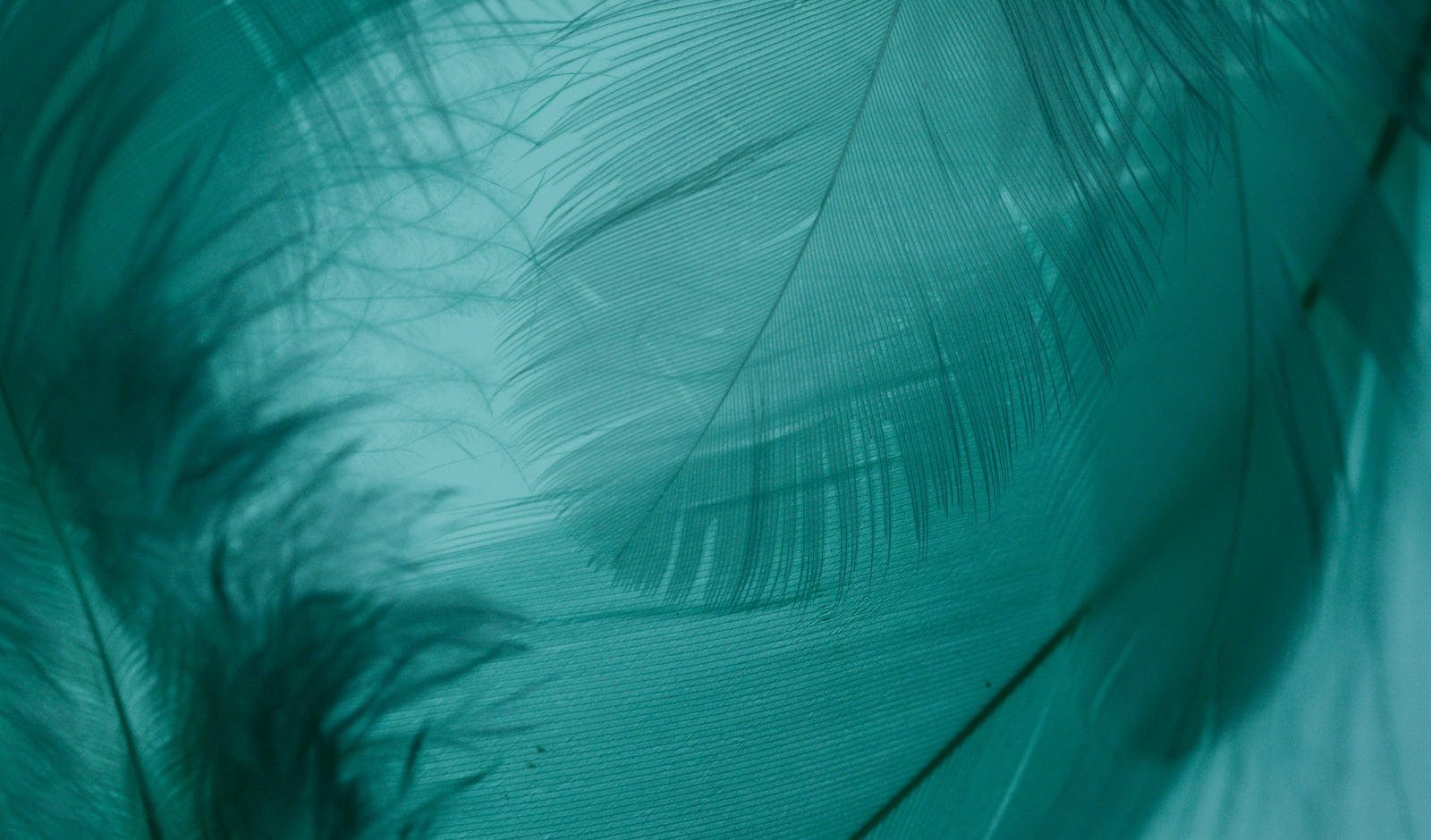 Page Speed Optimization